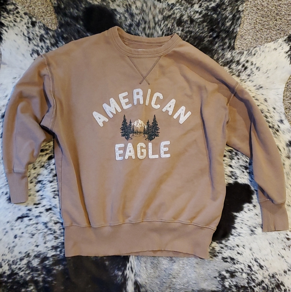 American Eagle Outfitters Men's Tan Crewneck Sweater